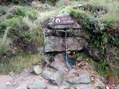DSCN1898 DSCN1898