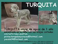 TURQUITA Sevilla