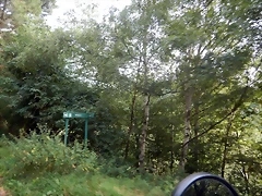 DSCN4419 DSCN4419