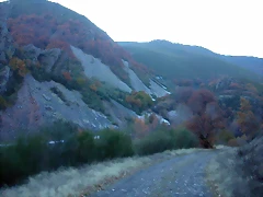 DSCN6948