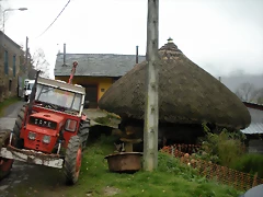 DSCN0904 DSCN0904