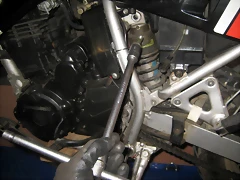 IMG_1017 IMG_1017