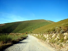 DSCN9949