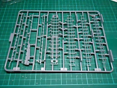 DSCN4254