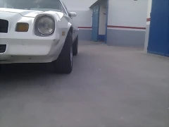IMAG0556 IMAG0556