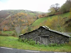 DSCN0585 DSCN0585