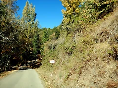 DSCN7750 DSCN7750