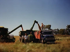 img115