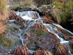 DSCN6699 DSCN6699