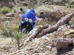 IMGP5883 IMGP5883