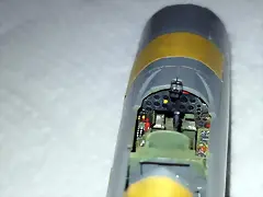 SDC39519 SDC39519