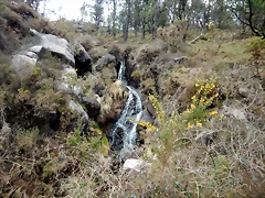 DSCN9561 DSCN9561