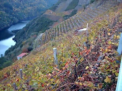 DSCN6566