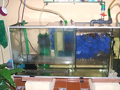 DSCF1507 DSCF1507