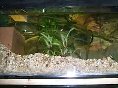 DSCF1514 DSCF1514