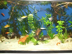 DSCF1518 DSCF1518