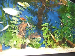 DSCF1519 DSCF1519