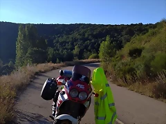 38