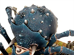 m1550159a_SpiderBack_1XL m1550159a_SpiderBack_1XL