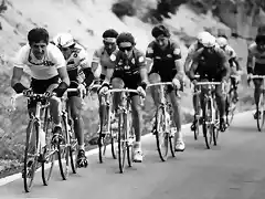 Perico-Vuelta1986-Delgado-Jaramillo-Pino-Millar-Kelly-Laguia-Gast?n