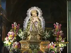 19, la virgen 2, marca vale