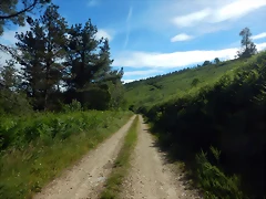 DSCN3204 DSCN3204