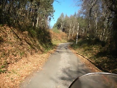 DSCN2151 DSCN2151