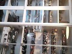 16921343861125339737760488676740