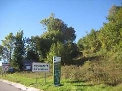 IMG_0314 IMG_0314
