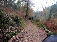 DSCN0728 DSCN0728