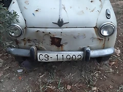 IMG-20240209-WA0002