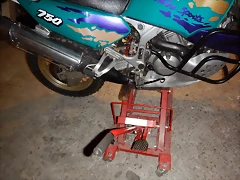 DSCN2407 DSCN2407