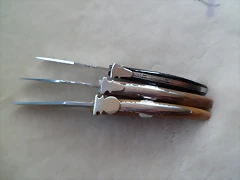 SAM_1242 SAM_1242