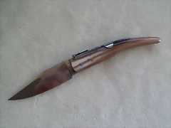 SAM_1244 SAM_1244