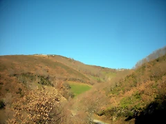 DSCN2992 DSCN2992