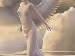 angel_volando
