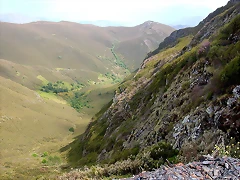 DSCN2270 DSCN2270