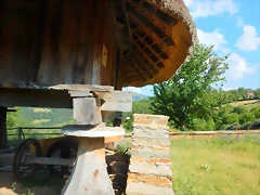 DSCN2350 DSCN2350