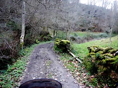 DSCN2072 DSCN2072