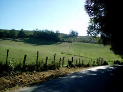 P1010141 P1010141