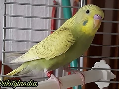 FB_IMG_1537468311859