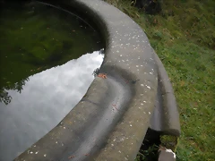 DSCN0626 DSCN0626