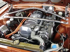 50842909