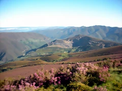 DSCN5263 DSCN5263