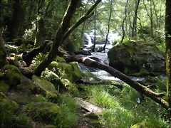 DSCN2803 DSCN2803
