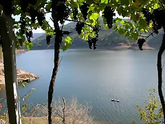 DSCN7559 DSCN7559