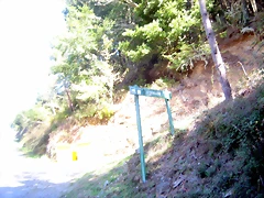 IMG_0531 IMG_0531