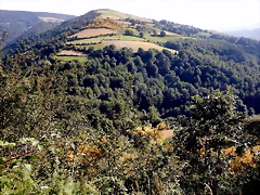 DSCN9209 DSCN9209