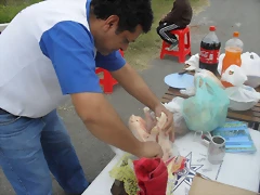 SDC18705 SDC18705
