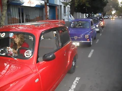 SDC18751 SDC18751